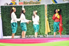 DSC_8652.JPG